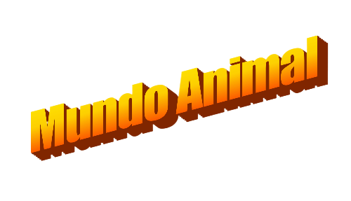 Mundo Animal