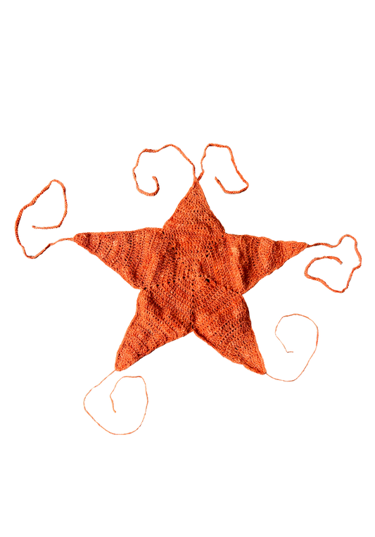 Orange_Star_Top.jpg